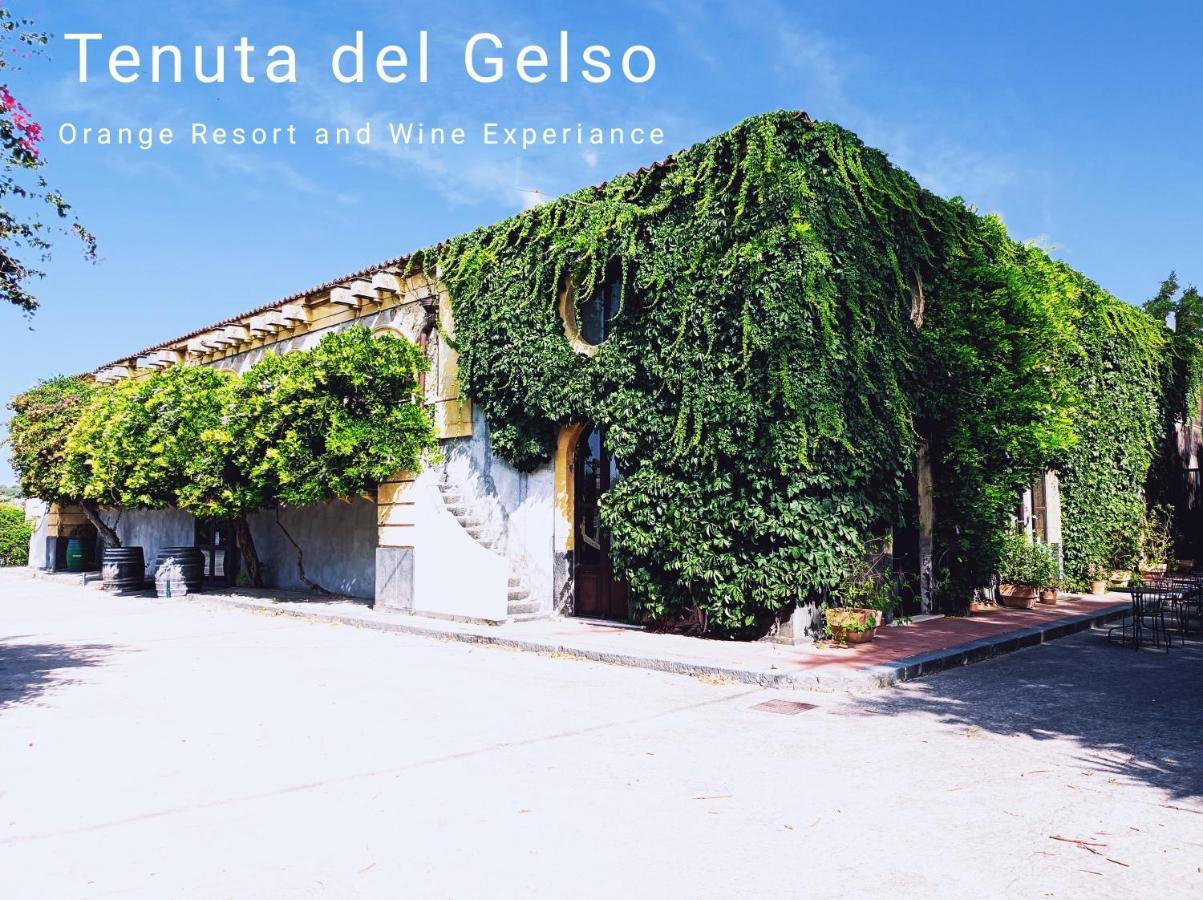 Tenuta Del Gelso Катания Екстериор снимка